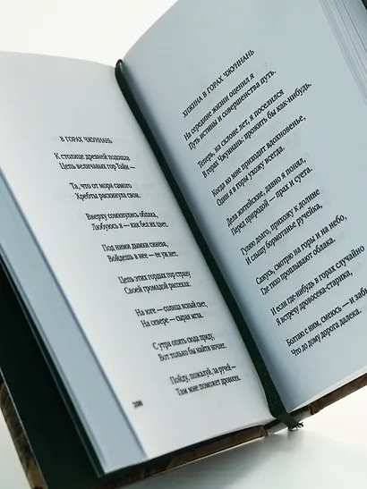 Встречи у Серебряной Реки. Поэты эпохи Тан: Ли Бо, Ду Фу, Ван Вэй - фото 9