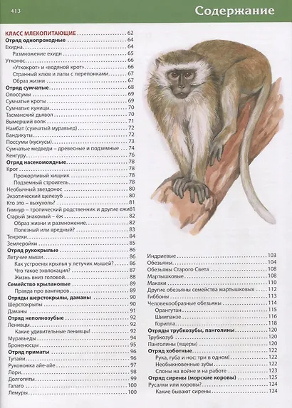 Первая энциклопедия животных для маленьких почемучек - фото 3