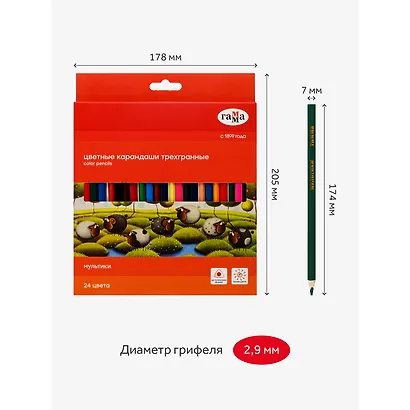 Карандаши цветные Гамма, "Мультики", 24 цвета - фото 6