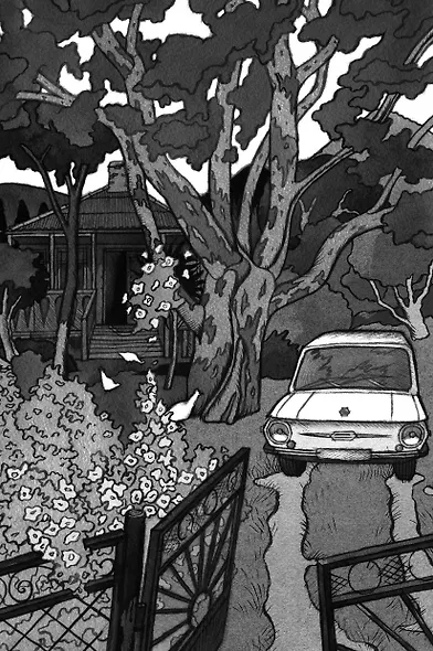 Брат мой Бзоу - фото 6