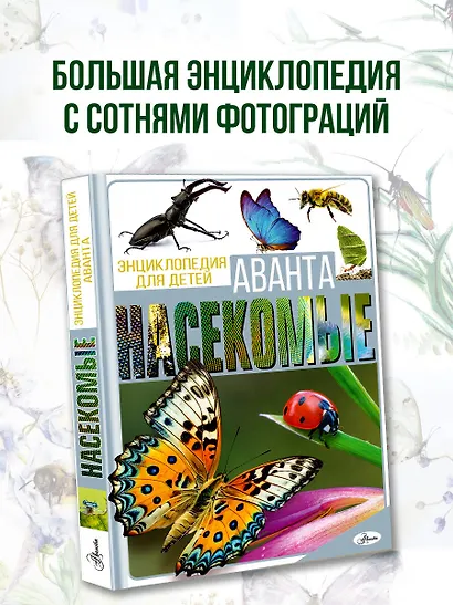 Насекомые - фото 3