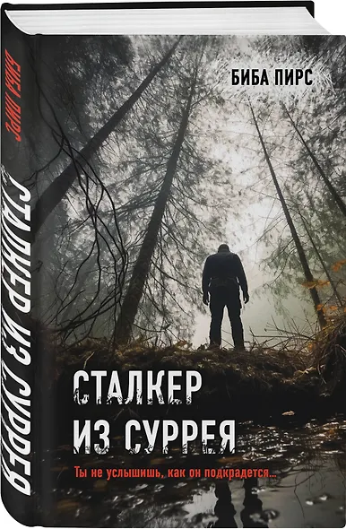 Комплект из 3-х книг с подарком (Девять лжецов, Театр похищенных людей, Сталкер из Суррея) - фото 5