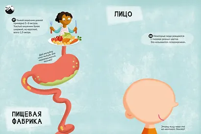 100 Интересных фактов. Мое тело. Наклей и узнай - фото 9