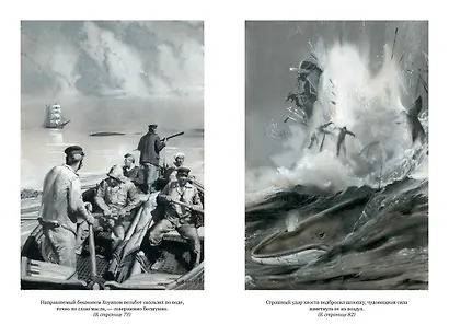 Пятнадцатилетний капитан. Пять недель на воздушном шаре - фото 9