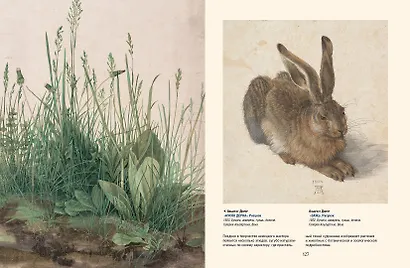 Шедевры Северного Возрождения. Босх, Брейгель, Дюрер и другие знаменитые художники - фото 9