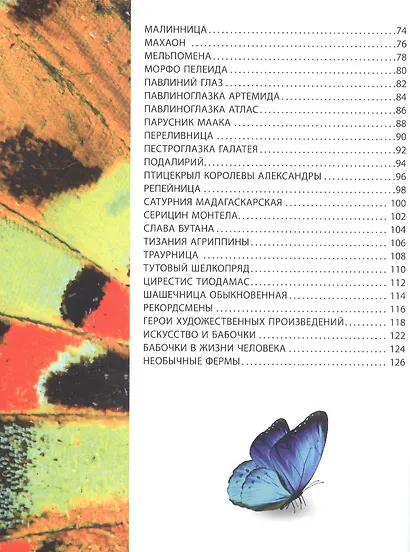 Бабочки. Детская энциклопедия - фото 3