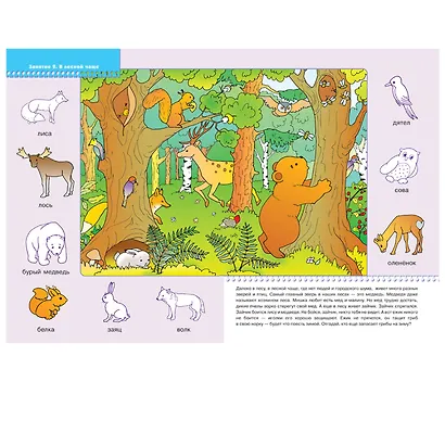 На лесной полянке. Для занятий с детьми от 2 до 3 лет - фото 4