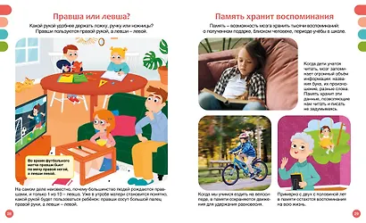 Как устроено тело человека - фото 13
