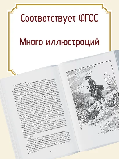 Чёрный Красавчик - фото 4