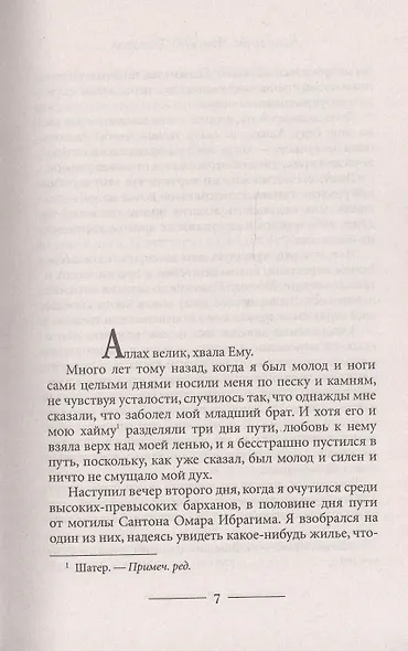 Туарег - фото 2