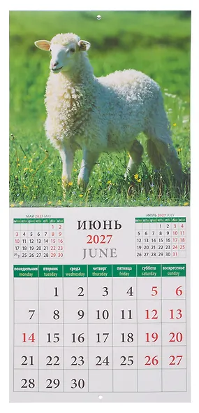 Календарь 2027г 220*240 «Год козы и овцы» настенный, на скрепке - фото 5