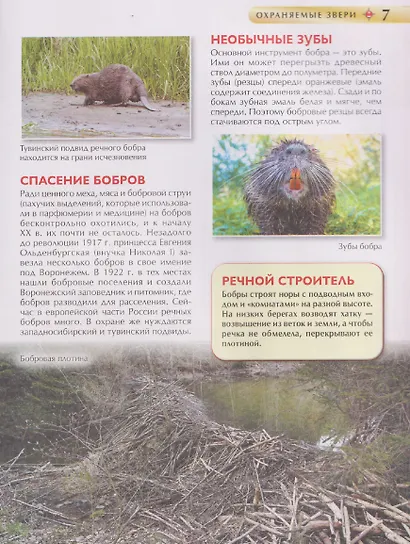 Красная книга России. Детская энциклопедия - фото 3