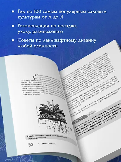 Не просто дача. Проверенные методики, с которыми ваш участок станет ухоженным и урожайным - фото 5