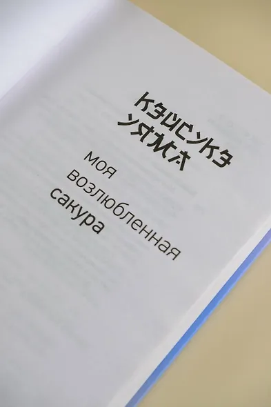 Моя возлюбленная сакура - фото 6
