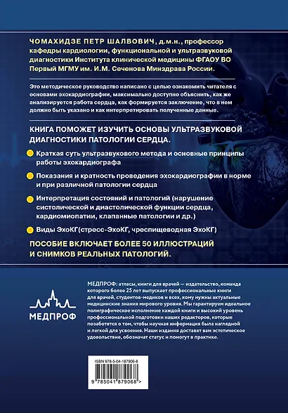 Эхокардиография для начинающих. Суть гемодинамических нарушений, позиции для анализа, определение тяжести порока - фото 2