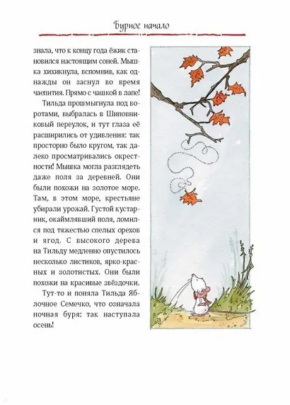 Тильда Яблочное Семечко. Чудесные истории из переулка, где растёт шиповник - фото 9