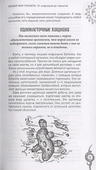 Живой мир планеты. От инфузорий до термитов - фото 4