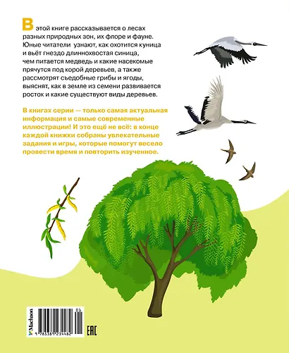 Жизнь леса - фото 2