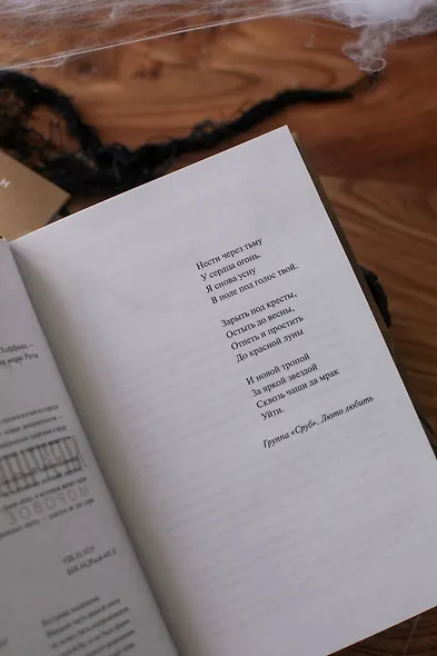 Мрачный Взвод. Моровое поветрие - фото 12