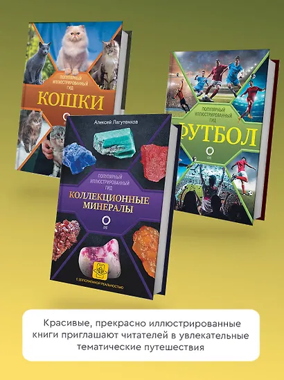 Собаки. Популярный иллюстрированный гид - фото 5