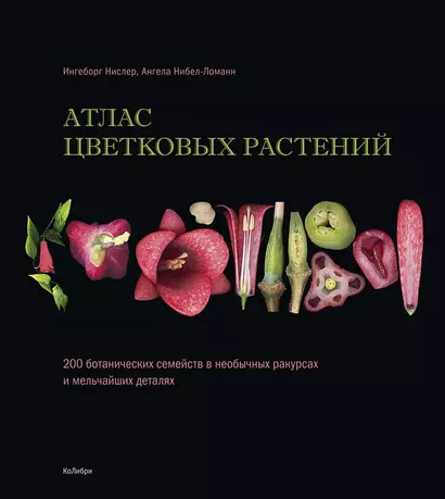 Атлас цветковых растений. 200 ботанических семейств в необычных ракурсах и мельчайших деталях - фото 1