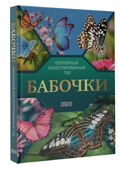 Бабочки. Иллюстрированный гид - фото 3