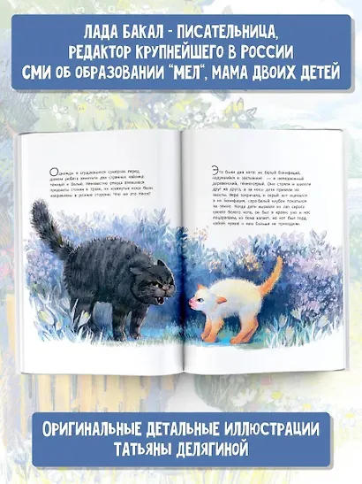 Бонифаций на каникулах - фото 5