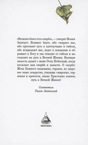 Книга Иова обо мне и для меня - фото 2