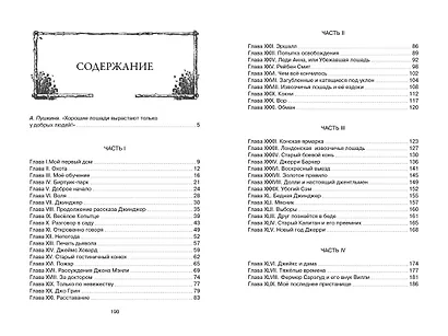 Чёрный Красавчик - фото 6