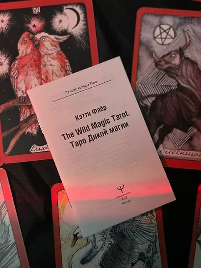 The Wild Magic Tarot. Таро Дикой магии - фото 11