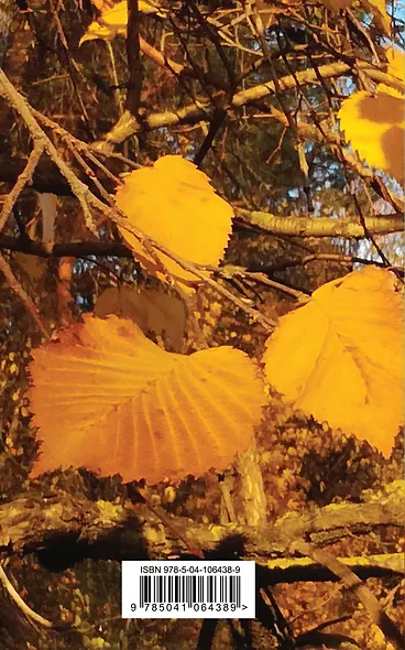 В ожидании осени - фото 2