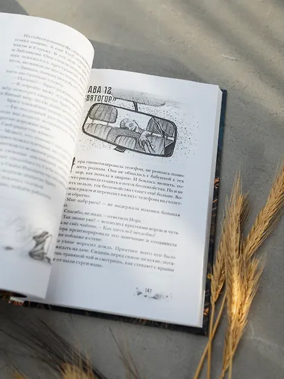 Бессмертник - фото 14