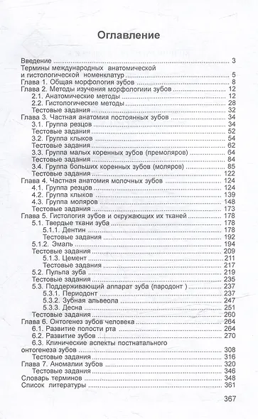 Основы клинической морфологии зубов: Учебное пособие для студентов медицинских учебных заведений - фото 3