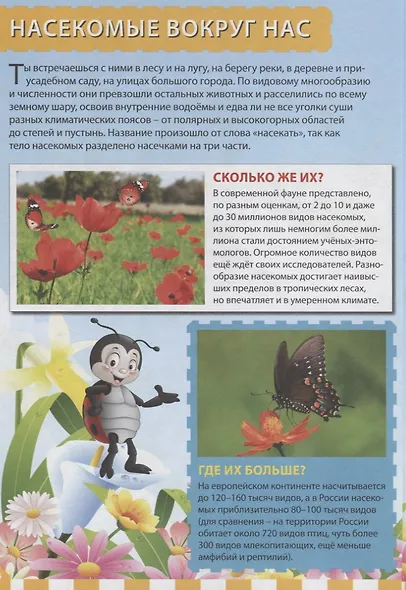 Насекомые. Первая энциклопедия для детей - фото 3