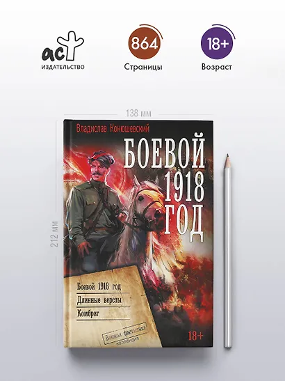 Боевой 1918 год - фото 4