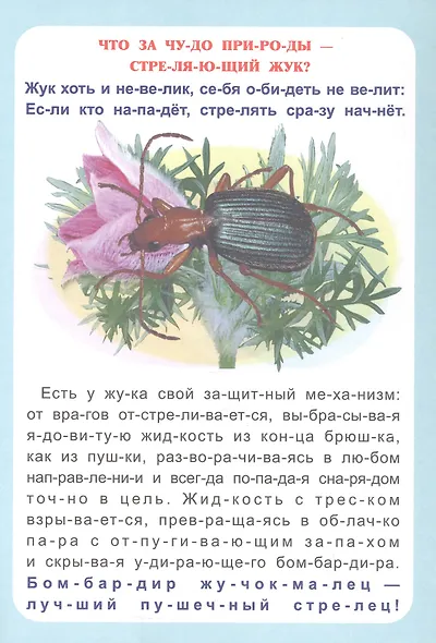 Секреты природы. Рассказы о букашках. Слогочиталка - фото 3