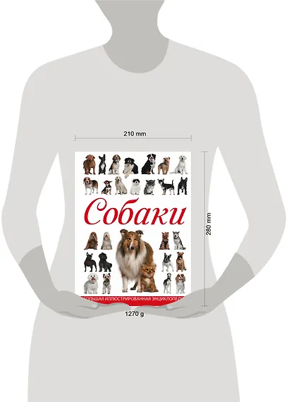 Собаки - фото 3