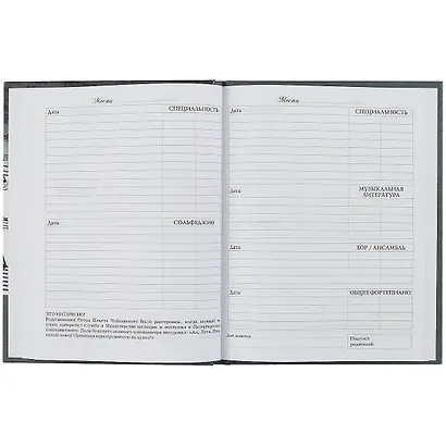 Дневник для муз.школ "Дизайн 16 (22)" 7БЦ, мат.ламинация, выб.лак - фото 2