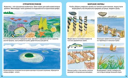 Чудесная планета - фото 4