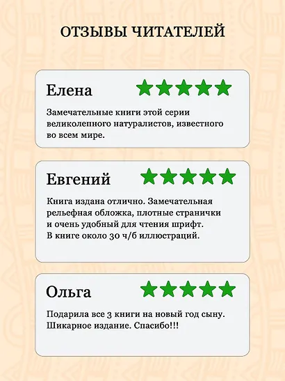 Три билета до Эдвенчер. Под пологом пьяного леса - фото 6