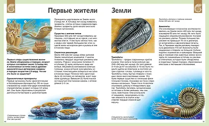 Универсальная школьная энциклопедия - фото 9