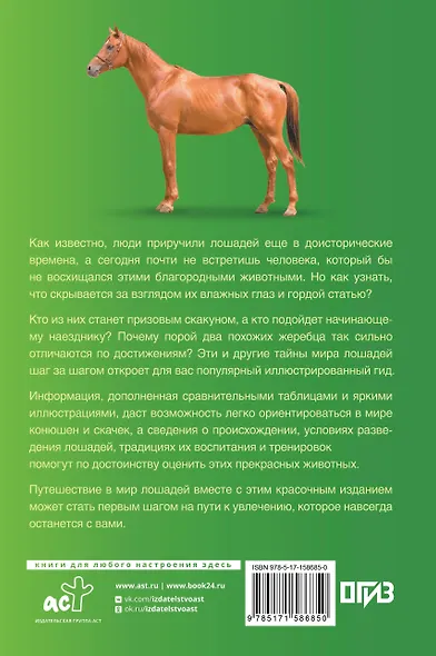 Лошади. Иллюстрированный гид - фото 2