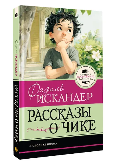 Рассказы о Чике - фото 3