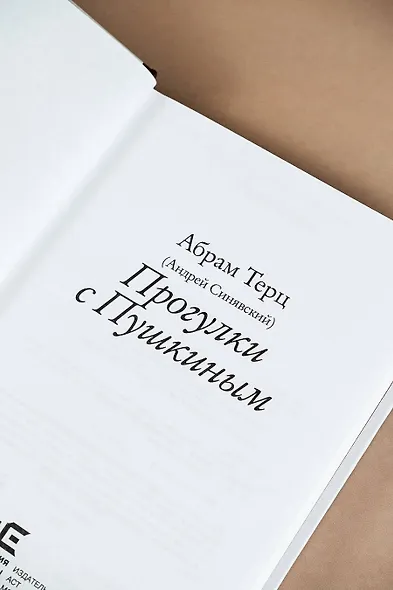 Прогулки с Пушкиным - фото 7