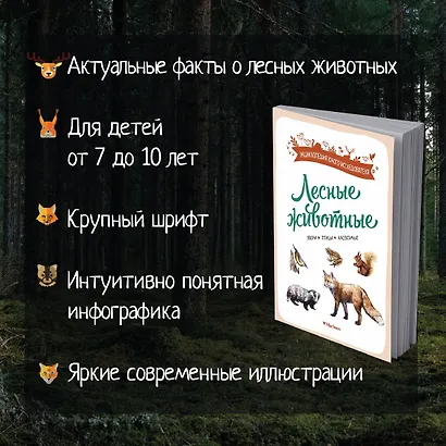 Лесные животные - фото 5