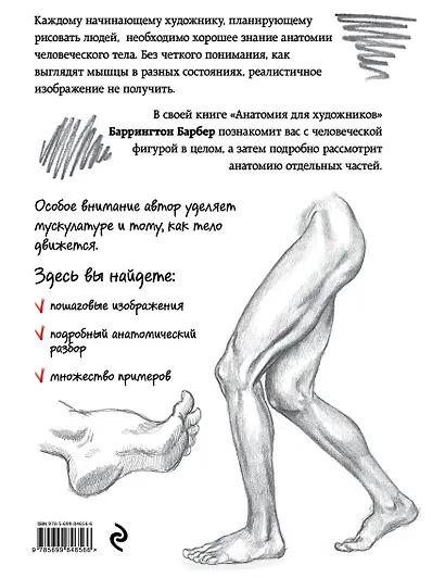 Анатомия для художников - фото 2
