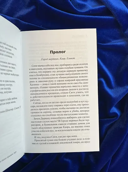 Египтянин - фото 11