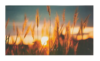 Планинг недат. 64л "На рассвете" карманный, интегр.переплет, мат.лам, офсет - фото 1