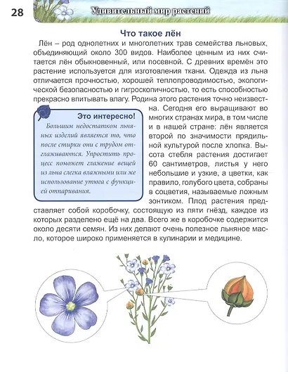 ЭНЦИКЛОПЕДИЯ. ХОЧУ ЗНАТЬ. УДИВИТЕЛЬНЫЙ МИР РАСТЕНИЙ - фото 6