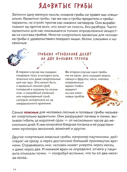 Грибы. Атлас-определитель - фото 5
